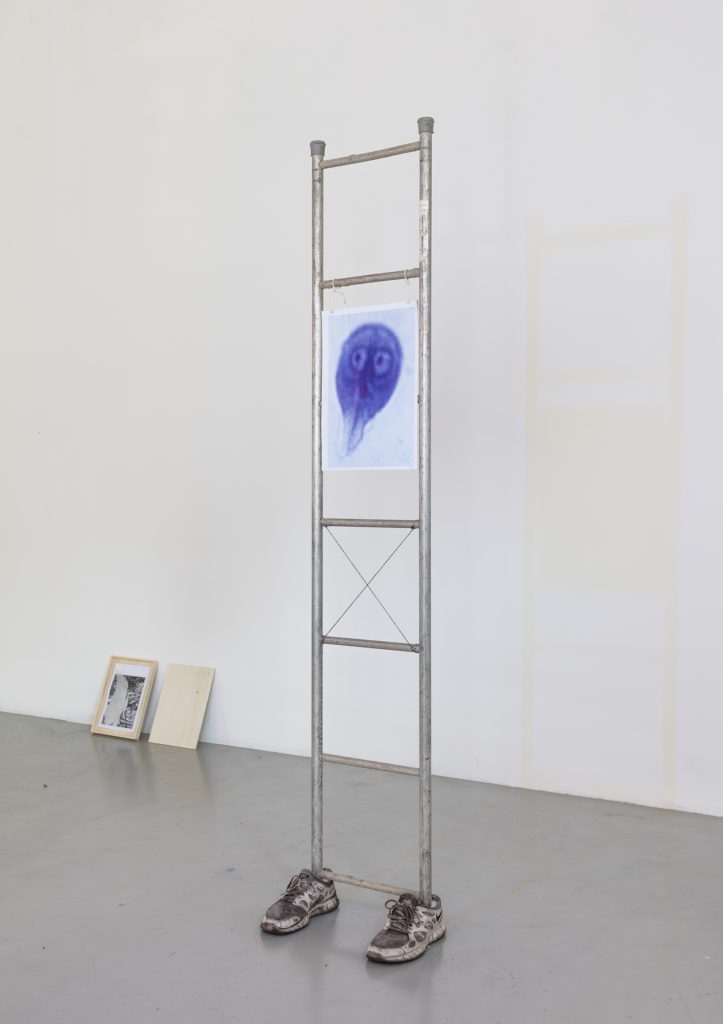 13_forde_30-juin-2016_marc_hunziker